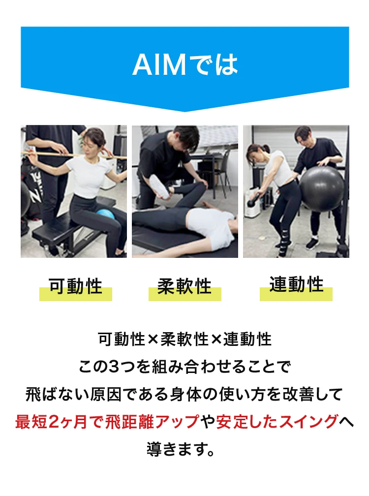 AIMでは